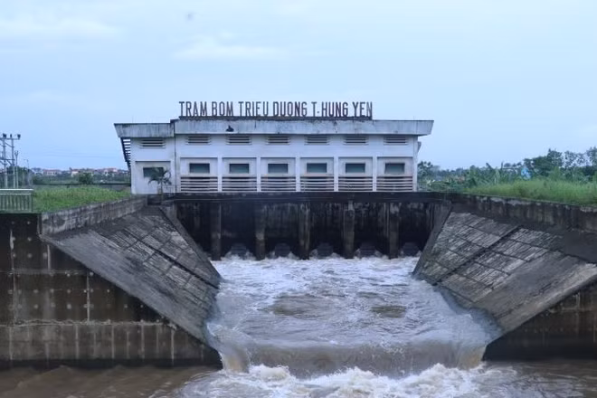 Trạm bơm Triều Dương tỉnh Hưng Yên hoạt động bơm tiêu úng cứu lúa.