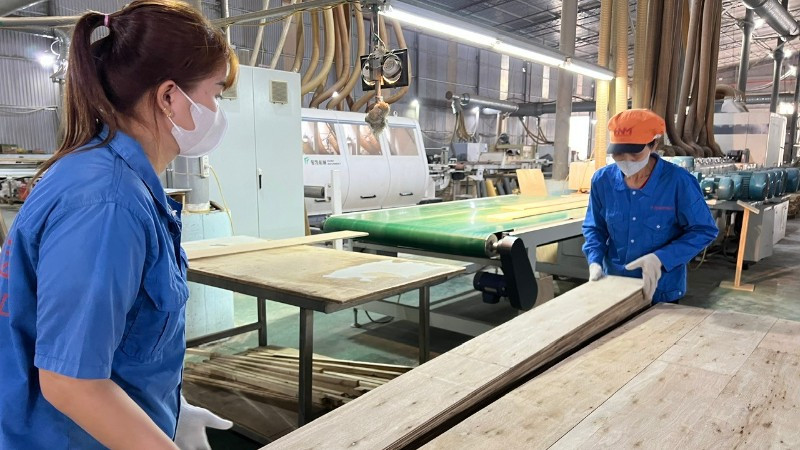 Hoạt động sản xuất tại nhà máy của Công ty Trách nhiệm hữu hạn Lechenwood Việt Nam. (Ảnh: TUẤN SƠN)