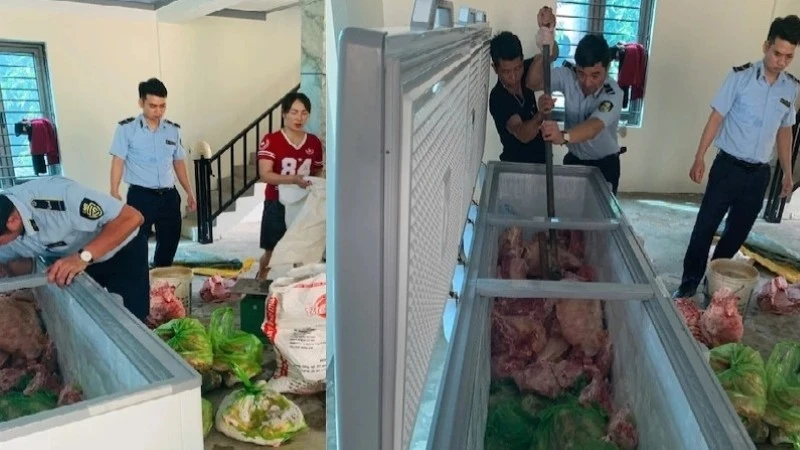 Hơn 1,6 tấn thịt nhiễm tả lợn châu Phi chuẩn bị được các đối tượng đưa ra thị trường.