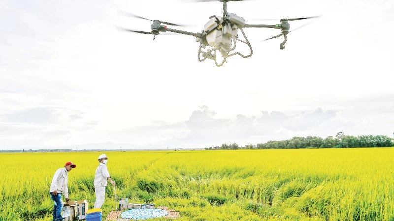 Tháo Gỡ Nút Thắt Đầu Tư, Phối Hợp Đồng Bộ Để Nâng Tầm Cạnh Tranh Toàn Cầu