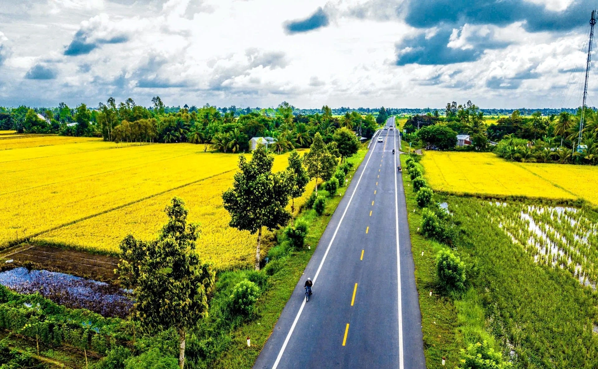 Hải Phòng khởi động mô hình lúa phát thải thấp, hướng tới chuyển đổi xanh toàn diện