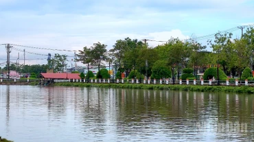 Một khu vực ven sông xã Đầm Dơi, tỉnh Cà Mau xanh, sạch trước kỷ niệm 80 năm Ngày Quốc khánh.