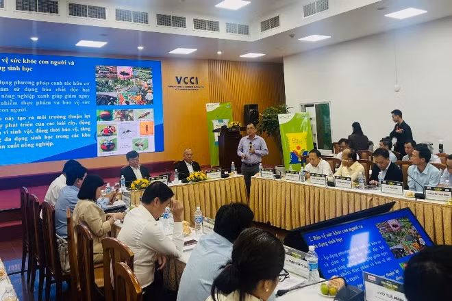 Quang cảnh diễn đàn.