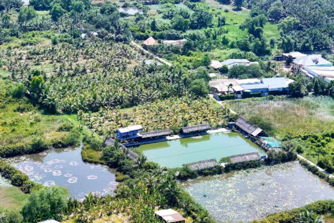 Đất nông nghiệp tại khu vực bán đảo Thanh Đa, Thành phố Hồ Chí Minh. (Ảnh: THẾ ANH)