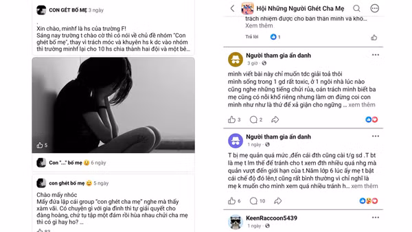 Hình ảnh trên các page công khai trên mạng xã hội.