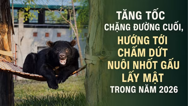 Ảnh thiết kế có yếu tố AI. 