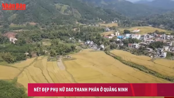 Nét đẹp phụ nữ Dao Thanh Phán ở Quảng Ninh