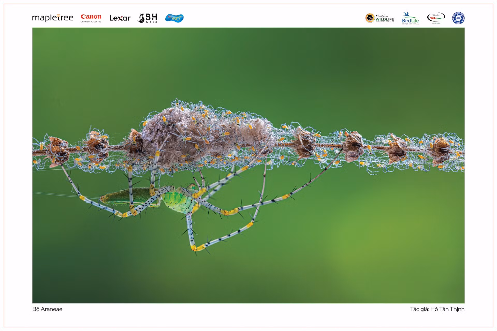 giai-nhat-the-loai-macro.jpg