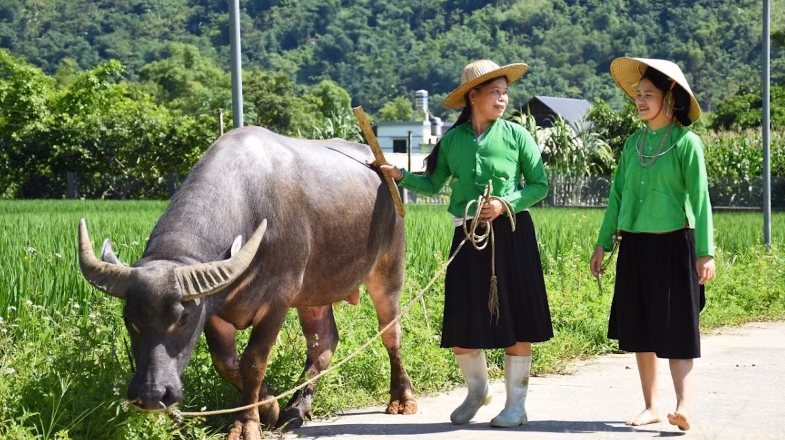 den-voi-lam-thuong-luc-yen-yen-bai-du-khach-co-co-hoi-duoc-hoa-minh-vao-cuoc-song-nguoi-dan-ban-dia-copy.jpg