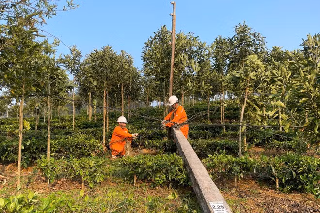Khắc phục sự cố lưới điện do thiên tai gây ra.