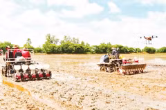 Cơ giới hóa trong sản xuất tại Hợp tác xã Nông nghiệp Hưng Lợi, xã Đại Ngãi, thành phố Cần Thơ.