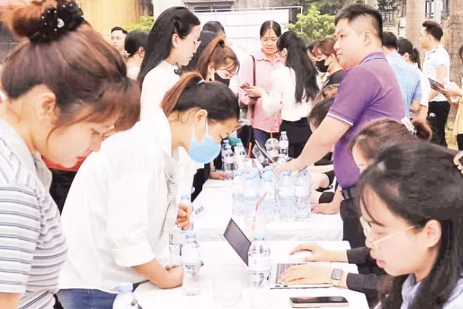 Người lao động tham gia sàn giao dịch việc làm tỉnh Tuyên Quang.
