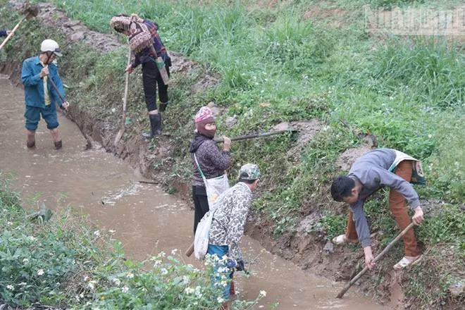 Nhân dân các bản thuộc phường Chiềng An đồng loạt ra quân nạo vét kênh mương nội đồng.