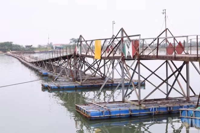 Cầu dân sinh Triệu Độ bắc qua sông Thạch Hãn nhiều năm nay phục vụ nhu cầu đi lại của người dân.