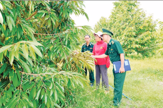 Đảng viên Đồn Biên phòng Tân Thành (Bộ đội Biên phòng tỉnh Đồng Nai) xuống cơ sở hỗ trợ nhân dân phát triển kinh tế, đồng thời nắm thông tin ở khu dân cư biên giới thông qua hộ gia đình mình phụ trách.