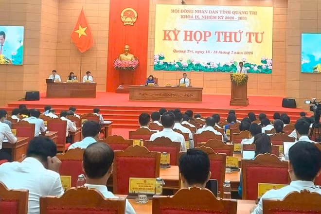 Tại kỳ họp thứ tư, Hội đồng nhân dân tỉnh Quảng Trị khóa IX, thông qua nghị quyết hỗ trợ đầu tư trồng rừng sản xuất gỗ lớn trên địa bàn.
