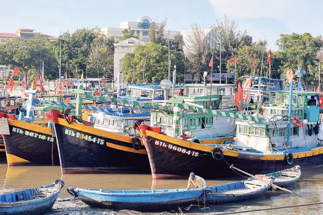 Nhiều tàu cá nằm bờ tại khu vực Cảng cá Phan Thiết (phường Phan Thiết, tỉnh Lâm Đồng). (Ảnh: THANH HẢI)