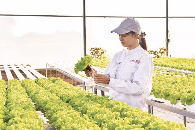 Mô hình trang trại thông minh Delco Farm tại xã Thuận Thành, tỉnh Bắc Ninh được xây dựng và thiết kế theo tiêu chuẩn công nghệ cao. (Ảnh: TUỆ NGHI)