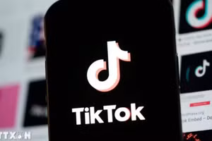 Biểu tượng TikTok trên màn hình điện thoại. (Ảnh: THX/TTXVN) 