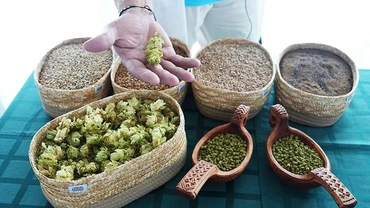 Các sản phẩm hoa bia đã qua chế biến.