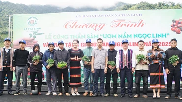 Chính quyền xã Trà Linh và doanh nghiệp trao tặng sâm giống cho các hộ có nhu cầu trồng sâm để thoát nghèo.
