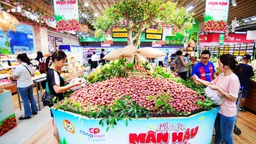 Người tiêu dùng với Lễ hội mận hậu Sơn La tại Saigon Co.op.