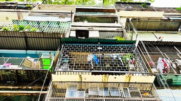 Cư xá Lý Thường Kiệt, phường Diên Hồng, Thành phố Hồ Chí Minh trong tình trạng cũ, nhiều “chuồng cọp”, tiềm ẩn nguy cơ cháy nổ.