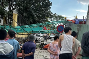 Hiện trường vụ gãy cần cẩu gây sập tường Bảo tàng Điêu khắc Chăm Đà Nẵng.