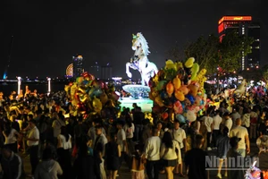 Đường hoa Bạch Đằng thành phố Đà Nẵng đêm 16/2 (29 Tết).