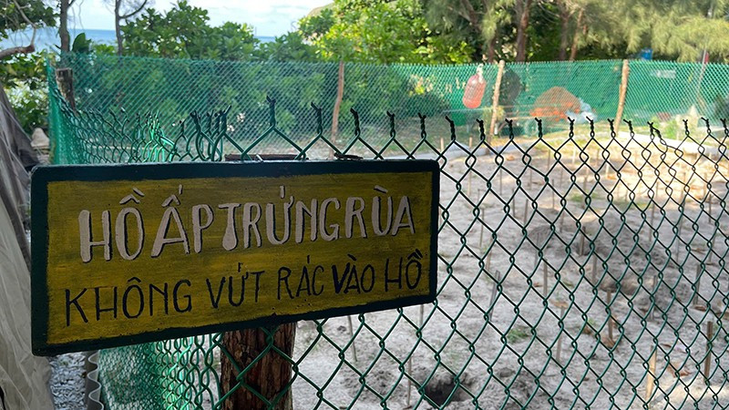 Côn Đảo là một trong những địa điểm quan trọng nhất tại Việt Nam cho các chương trình bảo tồn rùa biển. (Ảnh: Đình Nam)