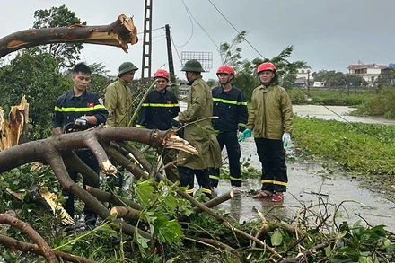 Công an Thanh Hóa cắt, dọn cây xanh bị đổ.
