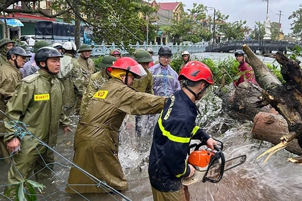 Công an Thanh Hóa cắt, giải phóng cây bị đổ.