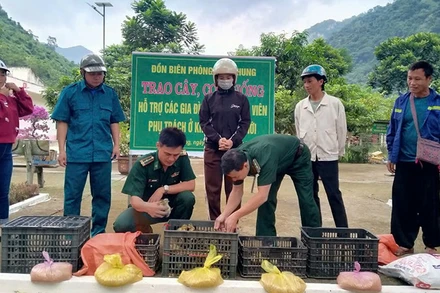 Bộ đội Biên phòng Thanh Hóa tặng thức ăn cùng con giống gia cầm cho các hộ nghèo tổ chức chăn nuôi.