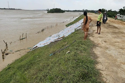 Điểm đê hữu sông Mã thuộc phường Quảng Phú, tỉnh Thanh Hóa bị sạt mái đã được xử lý kịp thời.