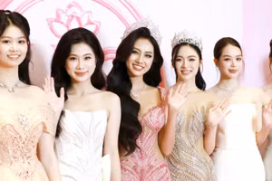 Những người đẹp thành danh từ cuộc thi Hoa hậu Việt Nam.