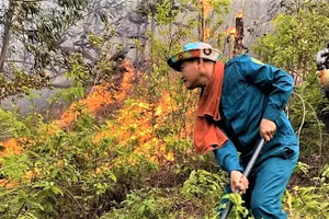 Trên địa bàn tỉnh Nghệ An xảy ra hàng chục vụ cháy rừng lớn, nhỏ vào mùa nắng nóng.