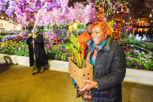 Triển lãm hoa trong nhà lớn nhất nước Mỹ