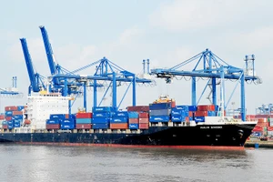 Các doanh nghiệp cần chủ động xây dựng các biện pháp phòng ngừa rủi ro khi ký hợp đồng vận chuyển. Ảnh: NAM NGUYỄN