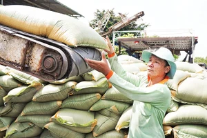 Các mặt hàng nông sản phải đối mặt áp lực tăng chi phí. Ảnh: MINH LÊ