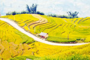 Việt Nam lọt vào danh sách 28 quốc gia đẹp nhất thế giới. Ảnh: ANH QUÂN