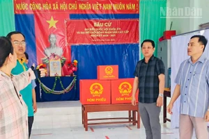 Đồng chí Trần Thanh Tuấn, Chủ tịch Ủy ban nhân dân xã Châu Thới, tỉnh Cà Mau (bìa phải) kiểm tra rất kỹ tại các tổ bầu cử.