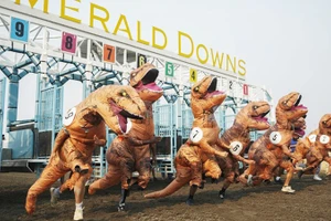 Giải chạy thú vị