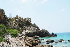 Khám phá mũi Vi Rồng