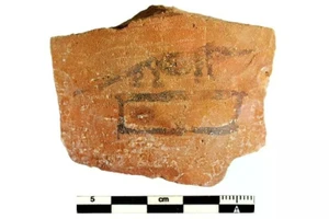 Hình vẽ một con chuột chù, loài vật linh thiêng của thần Haroeris. (Nguồn: Dự án Tübingen Athribis)