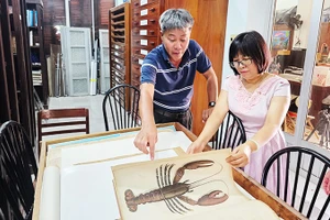 Tài liệu về loài tôm quý được lưu trữ trong bảo tàng.