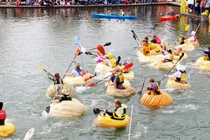 Cuộc đua thuyền bí ngô