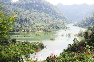 Dưới làn nước xanh này là hơn 20 căn nhà sàn của người dân Kim Vân. Ảnh: TÙNG VÂN