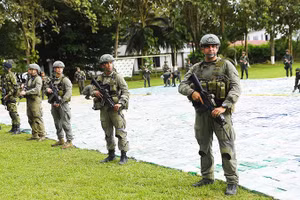 Cảnh sát Colombia thu giữ lượng lớn ma túy sau một chiến dịch truy quét. Ảnh: NBC News