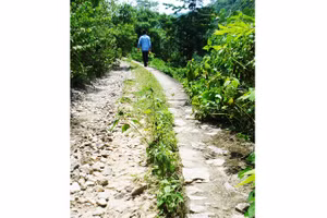 Dấu tích sót lại của tuyến đường sắt leo núi.