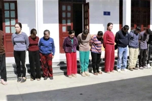 Các đối tượng trong ổ nhóm đánh bạc bị bắt giữ. (Ảnh: Công an Nghệ An)